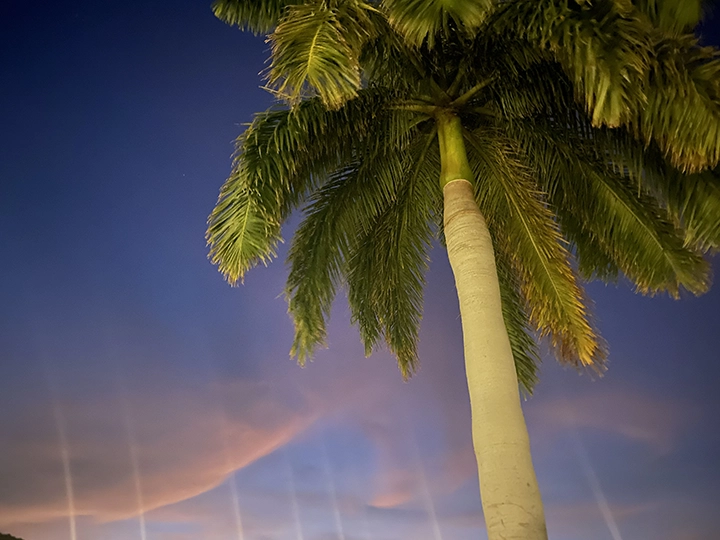 Looking Crazy in Miami