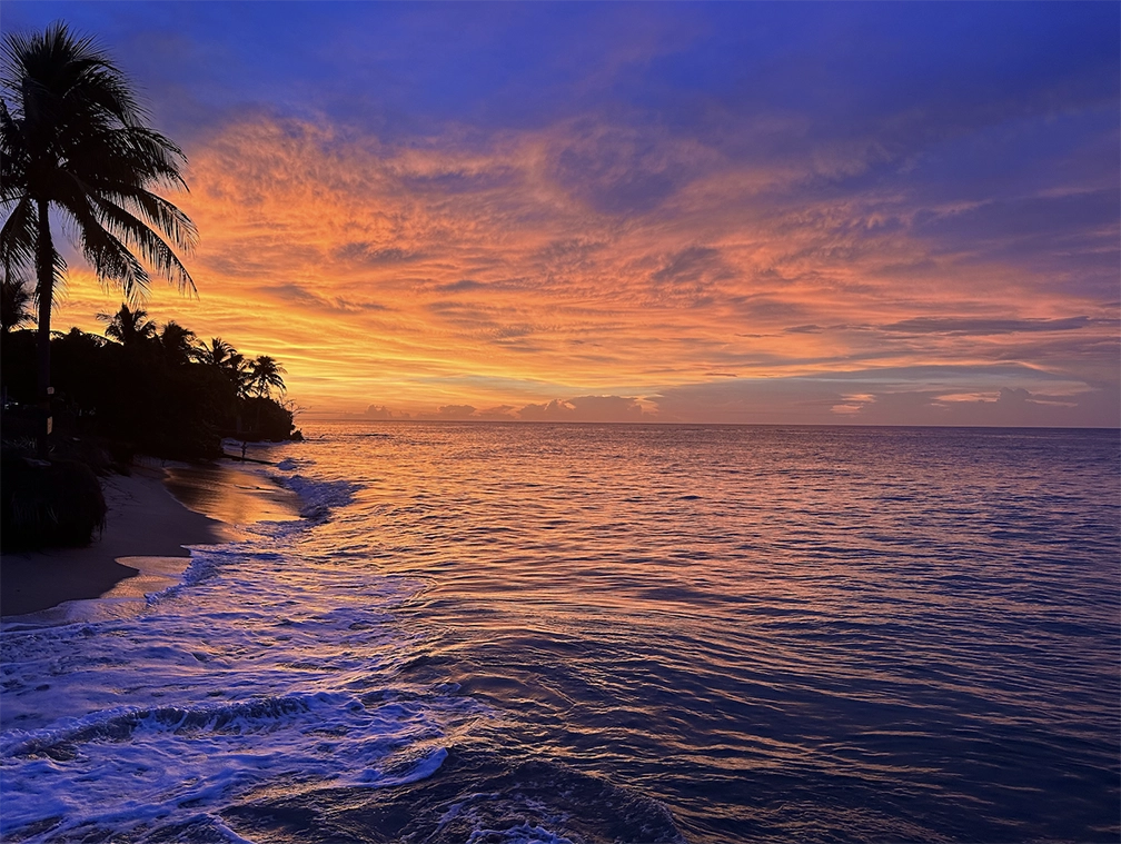 A vibrant sunset over the ocean with colorful reflections in the water, framed by palm trees along the shoreline.